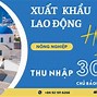 Công Ty Xklđ Vinacom Lừa Đảo Không Ạ Ạ ؟