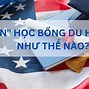 Học Nha Sĩ Tại Mỹ Bao Nhiều Năm Tuổi