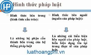 Pháp Luật Được Hiểu Là Hệ Thống